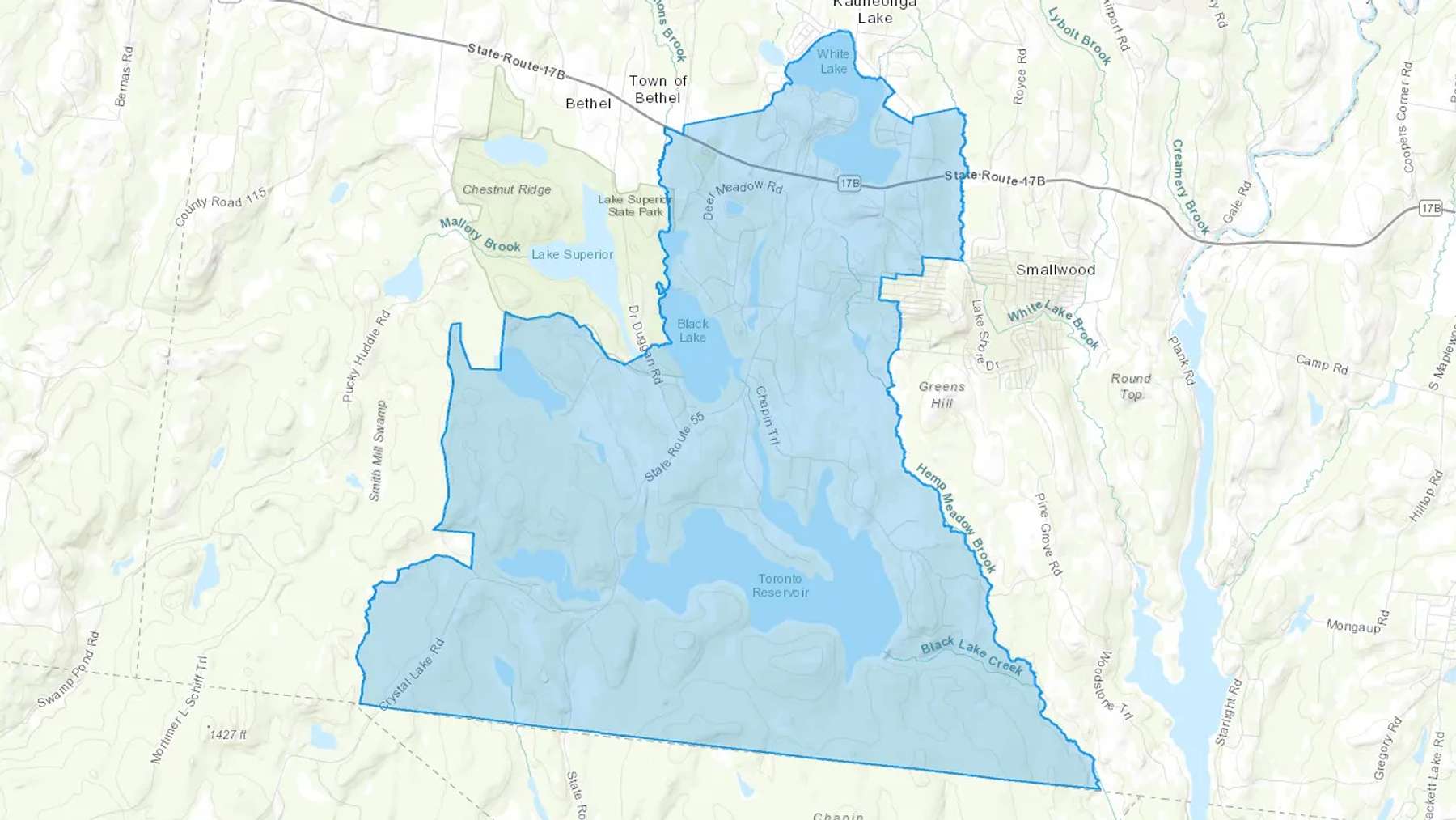 White Lake, NY Cash heating Oil delivery map Map of the COD Fuel Oil delivery service area for White Lake, NY