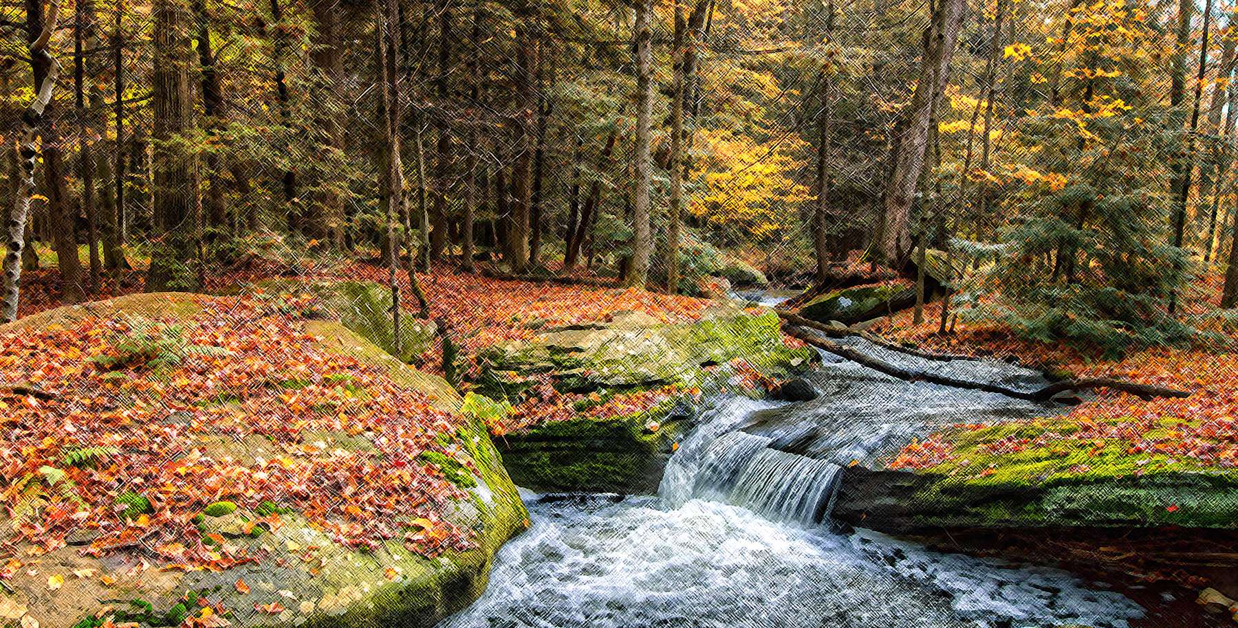 Photo of the Shallow Pool in Rock Hill, New York Photo of the Shallow Pool in Rock Hill, New York