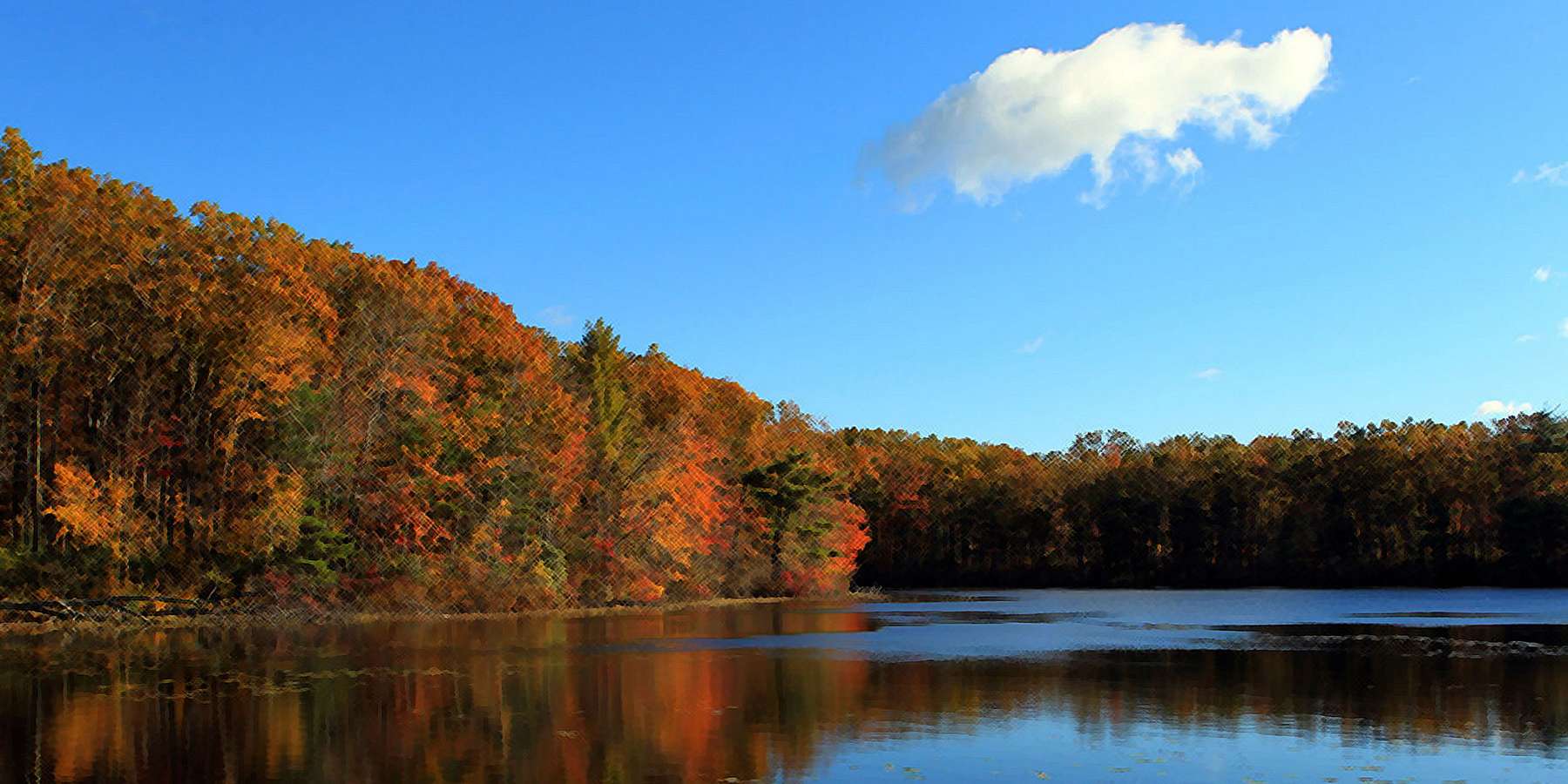 A photo of State Park in West Hatfield, Massachusetts A photo of State Park in West Hatfield, Massachusetts