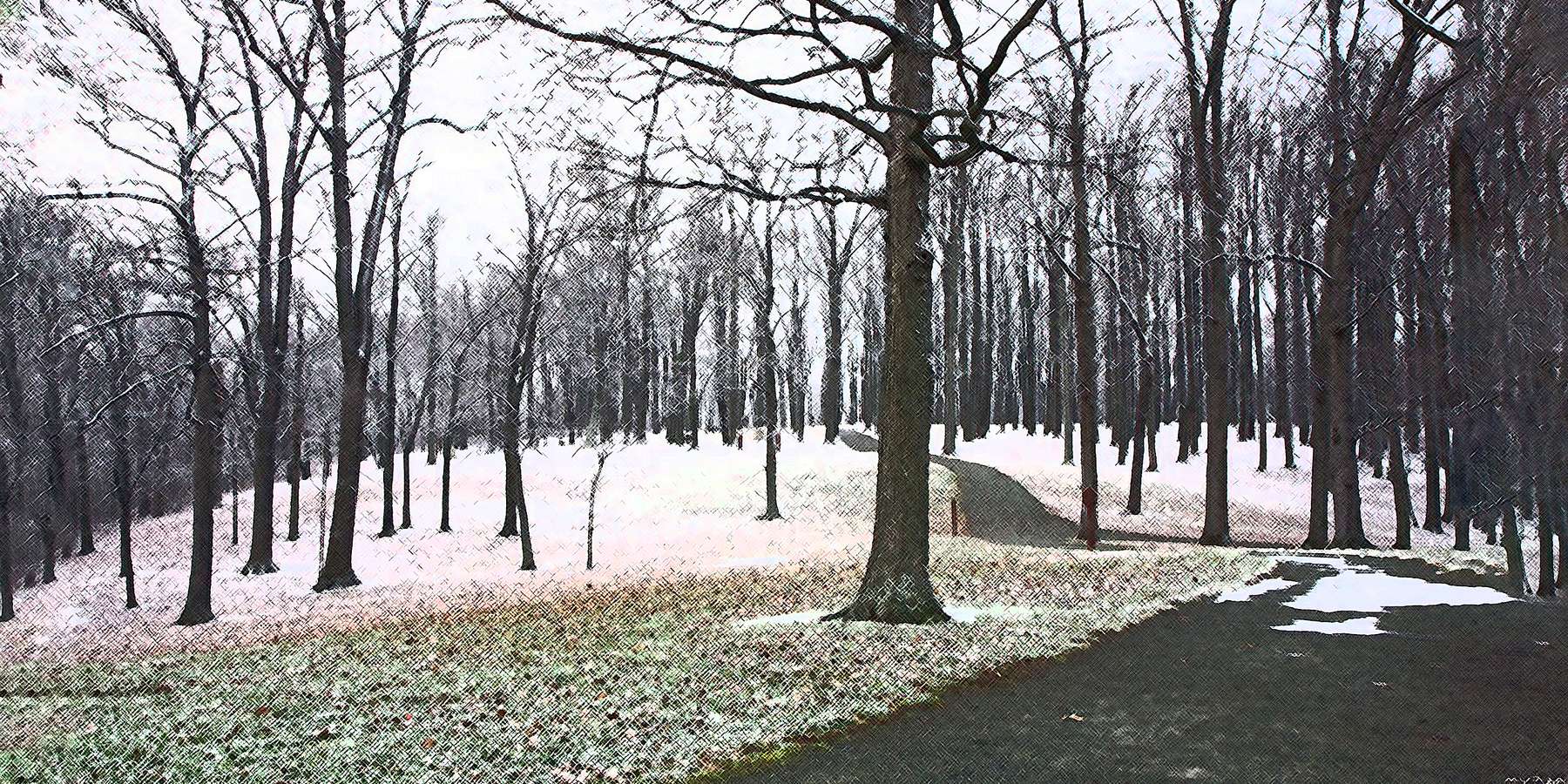 Photo of the Path to the Overlook in Drumore, Pennsylvania Photo of the Path to the Overlook in Drumore, Pennsylvania