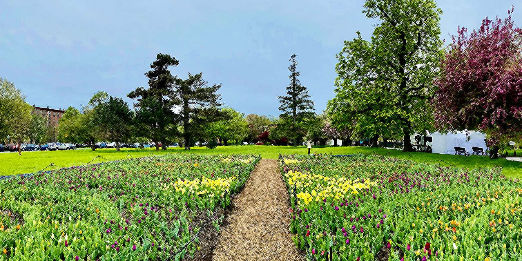 Photo of a garden near Ravena, New York Photo of a garden near Ravena, New York