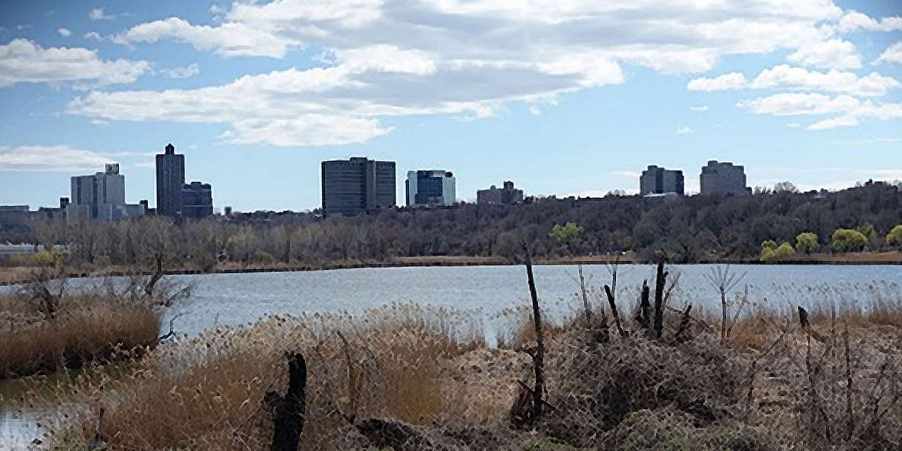 Photo of Willow Lake Preserve in Willow, New York Photo of Willow Lake Preserve in Willow, New York
