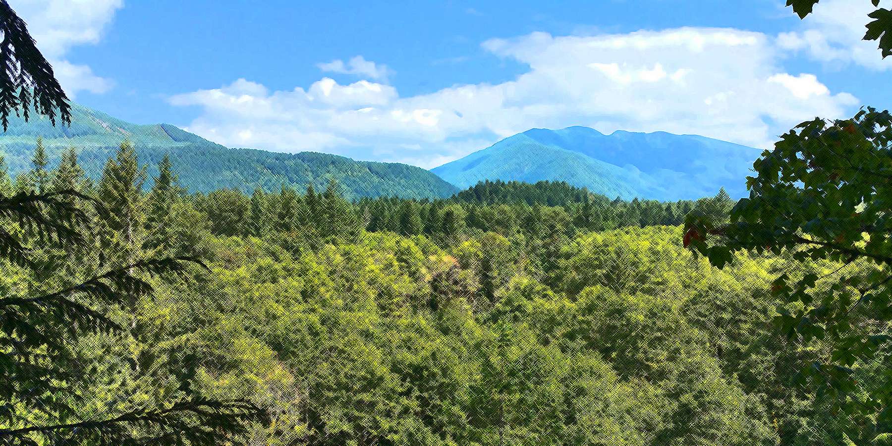 Photo of a Recreation Site in Wildwood, Pennsylvania Photo of a Recreation Site in Wildwood, Pennsylvania