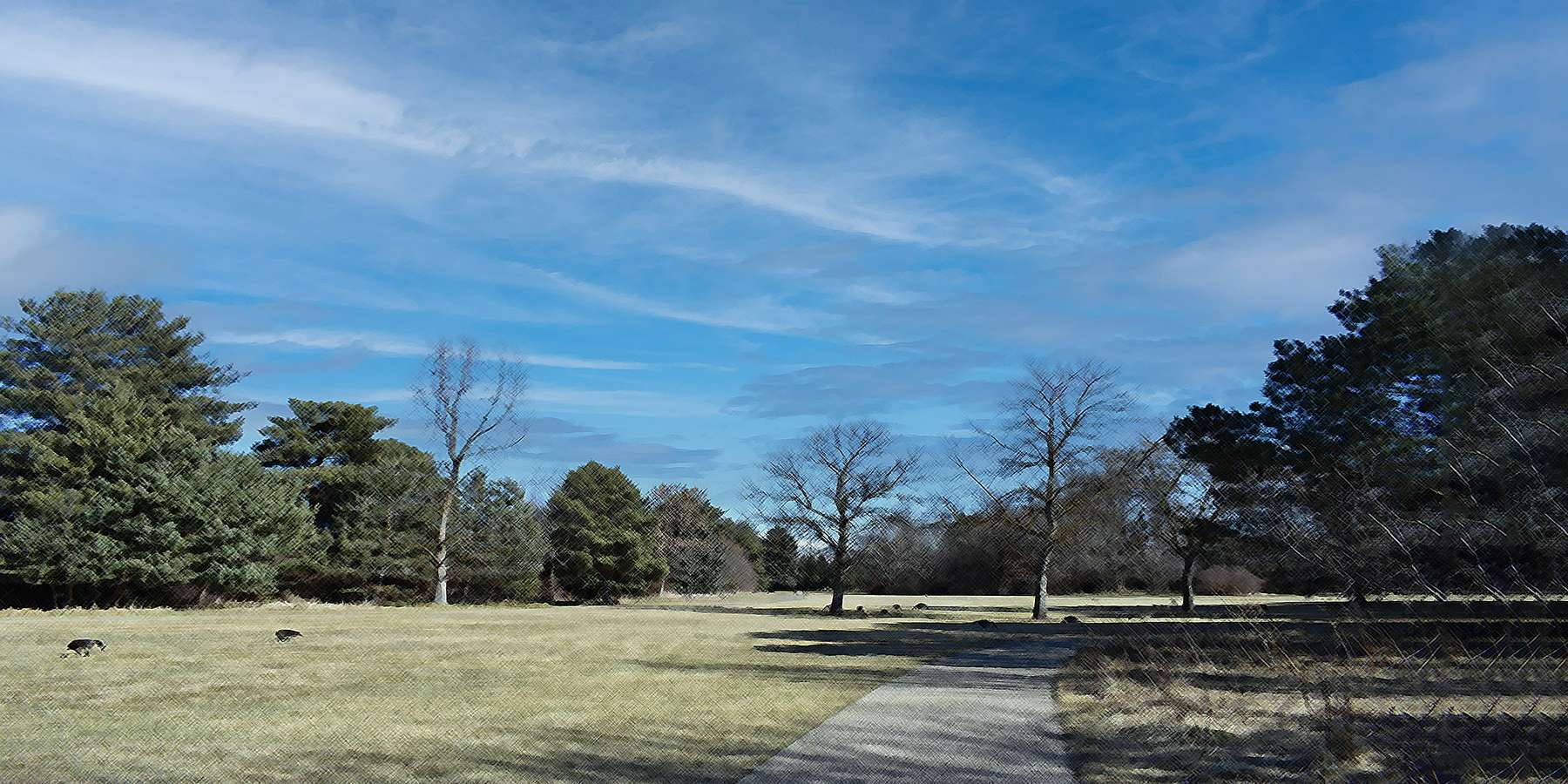 Photo of Kathryn Albertson Park in Albertson, New York Photo of Kathryn Albertson Park in Albertson, New York
