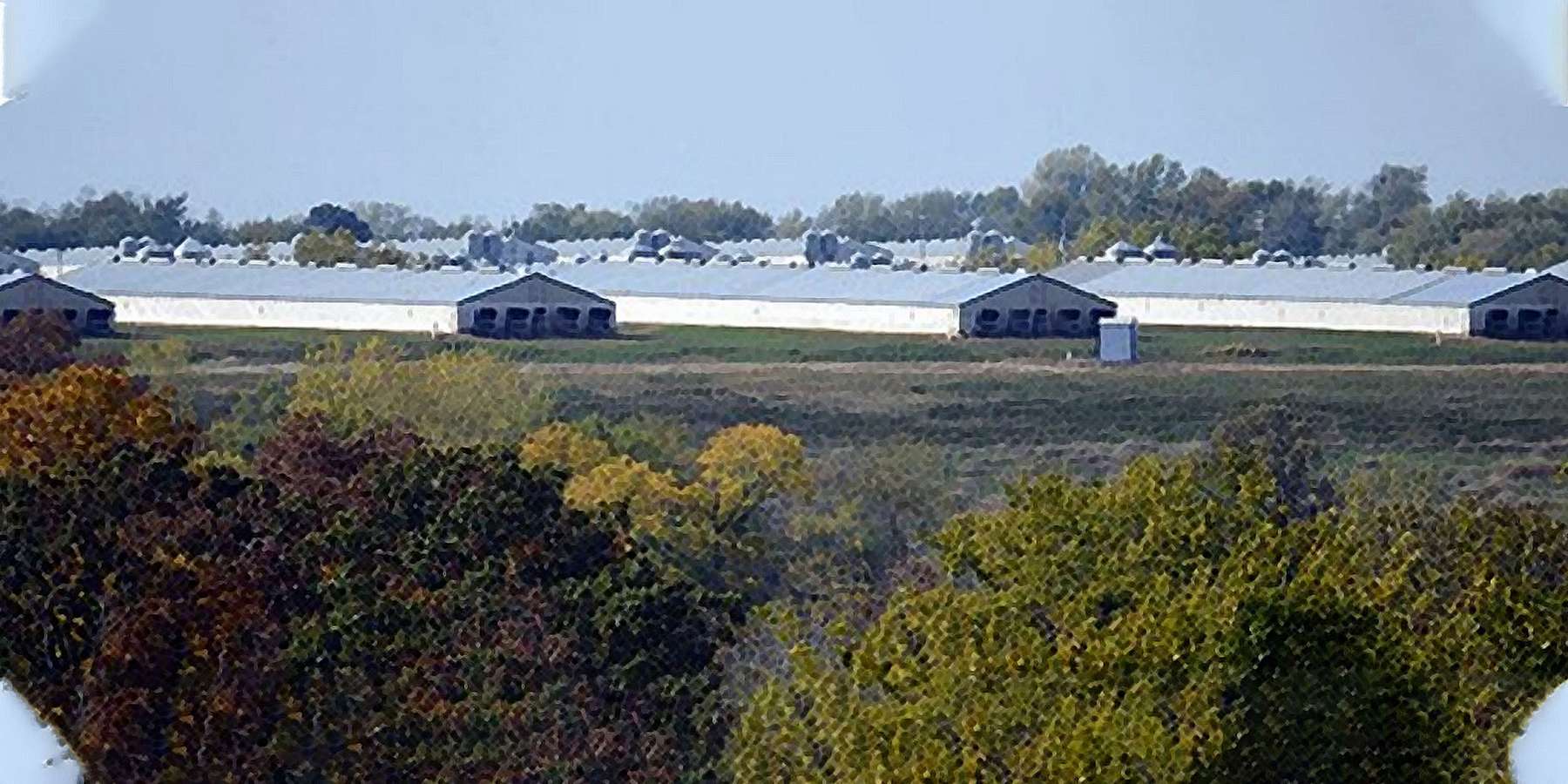Photo of CAFO, Unionville, Missouri, in Unionville, Pennsylvania Photo of CAFO, Unionville, Missouri, in Unionville, Pennsylvania