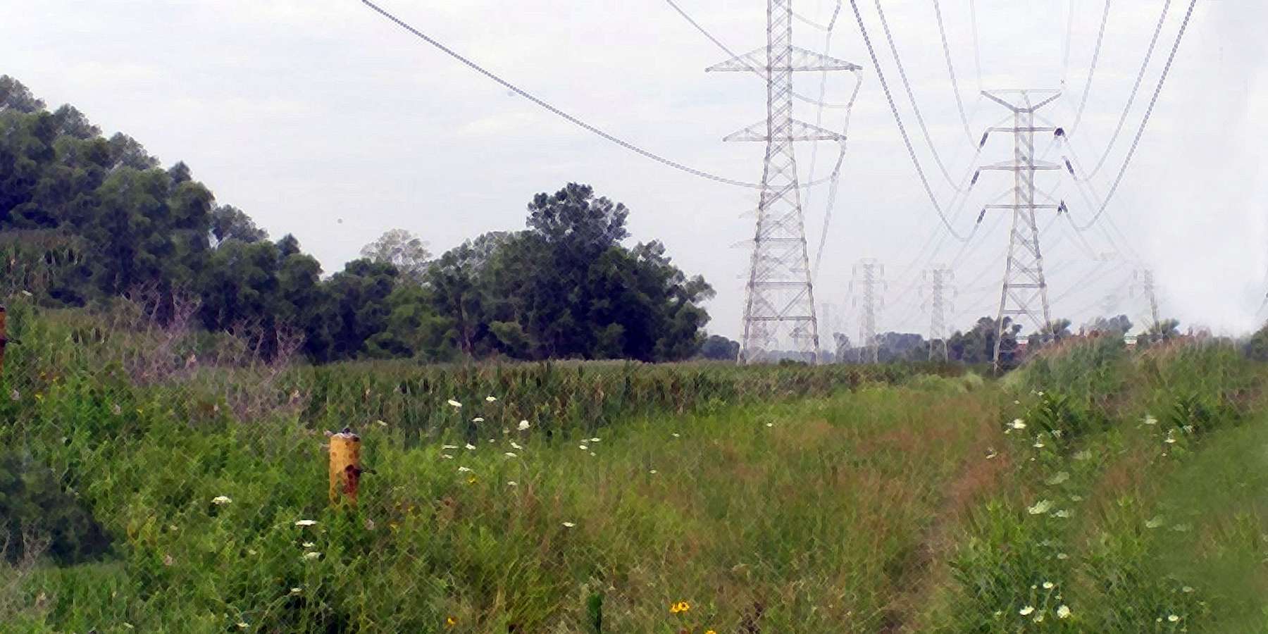 Photo of Nature Preserve in Calumet, Pennsylvania Photo of Nature Preserve in Calumet, Pennsylvania