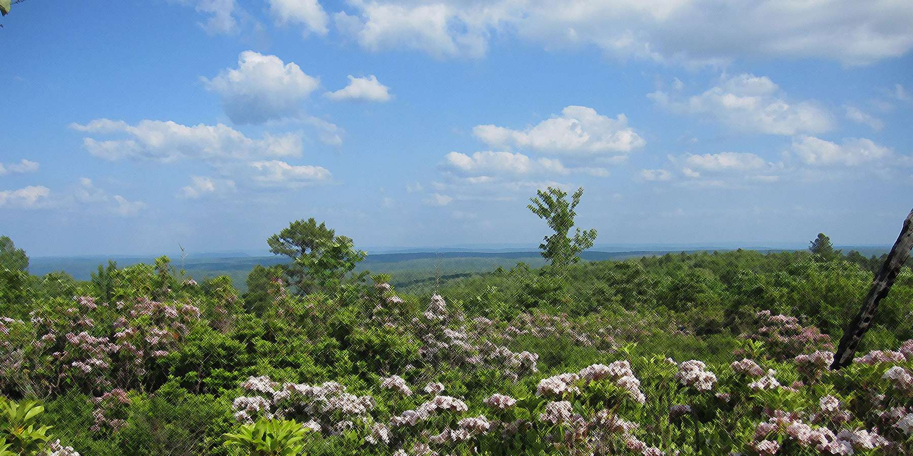 Photo of Sproul State Forest near Claysburg, Pennsylvania Photo of Sproul State Forest near Claysburg, Pennsylvania