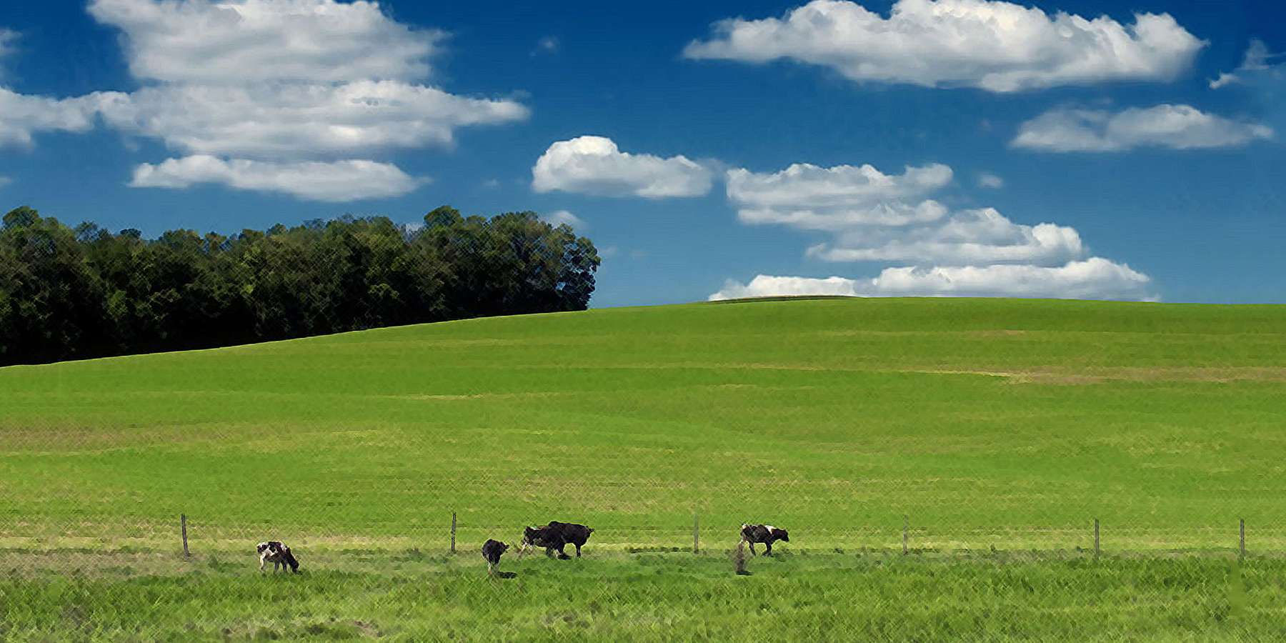 Photo of Lower Macungie Township in Macungie, Pennsylvania Photo of Lower Macungie Township in Macungie, Pennsylvania