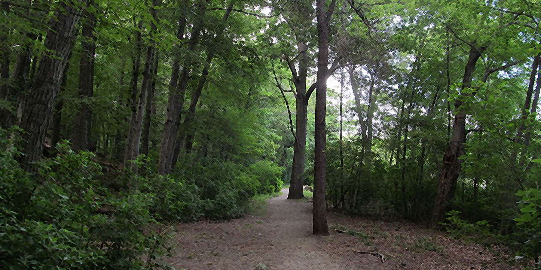 Photo of Hammond Pond Reservation in Chestnut Hill, Massachusetts Photo of Hammond Pond Reservation in Chestnut Hill, Massachusetts