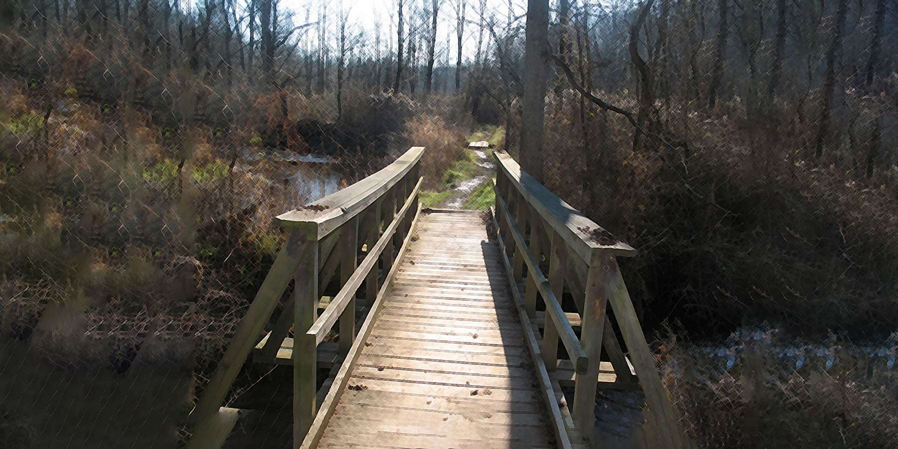 Photo of Wood Bridge in Elizabeth, Pennsylvania Photo of Wood Bridge in Elizabeth, Pennsylvania