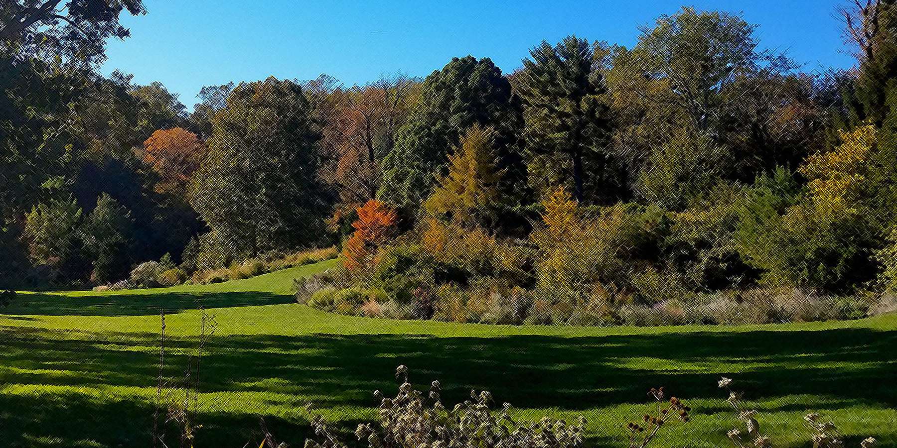 Photo of Chanticleer Garden near Dresher, Pennsylvania Photo of Chanticleer Garden near Dresher, Pennsylvania