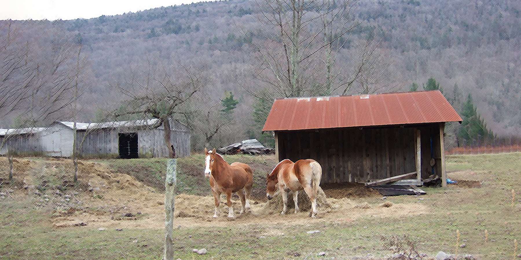 A photo of Lanesville Stables, New York A photo of Lanesville Stables, New York