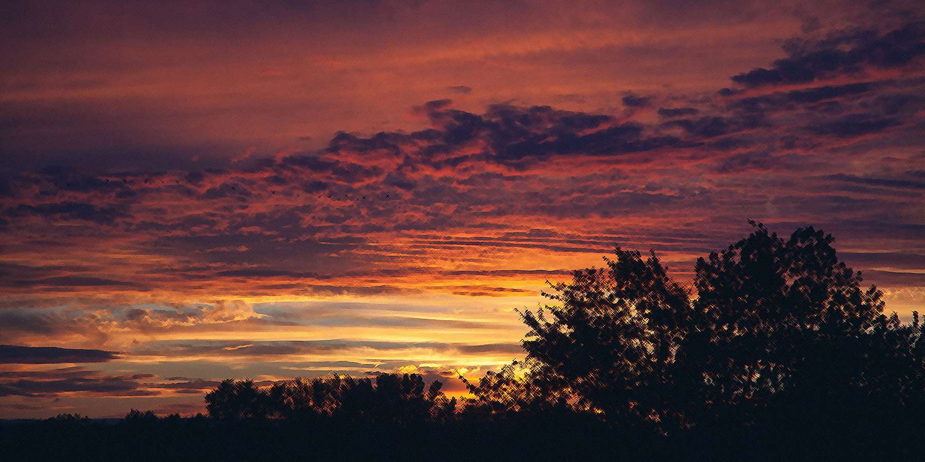 Photo of a Sunset in Melrose, New York Photo of a Sunset in Melrose, New York