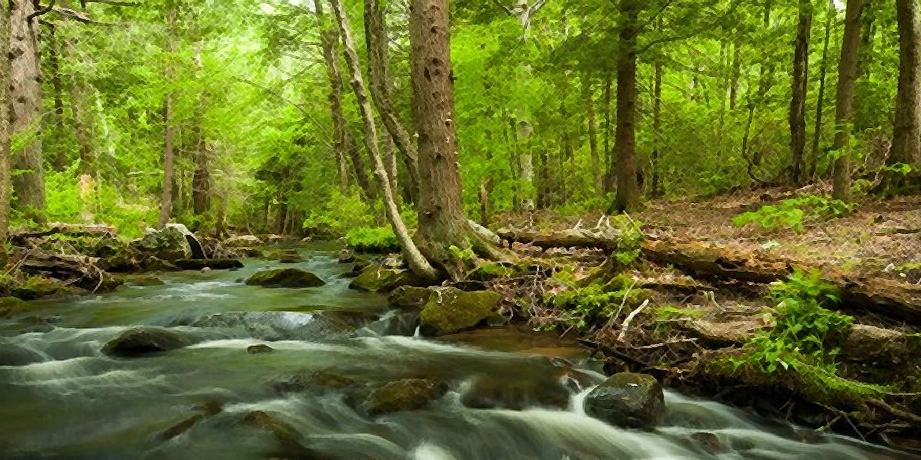 Photo of Mad River in Wolcott, Connecticut Photo of Mad River in Wolcott, Connecticut