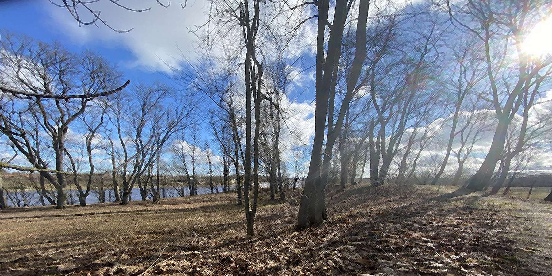 Photo of a Forest in Albrightsville, Pennsylvania Photo of a Forest in Albrightsville, Pennsylvania
