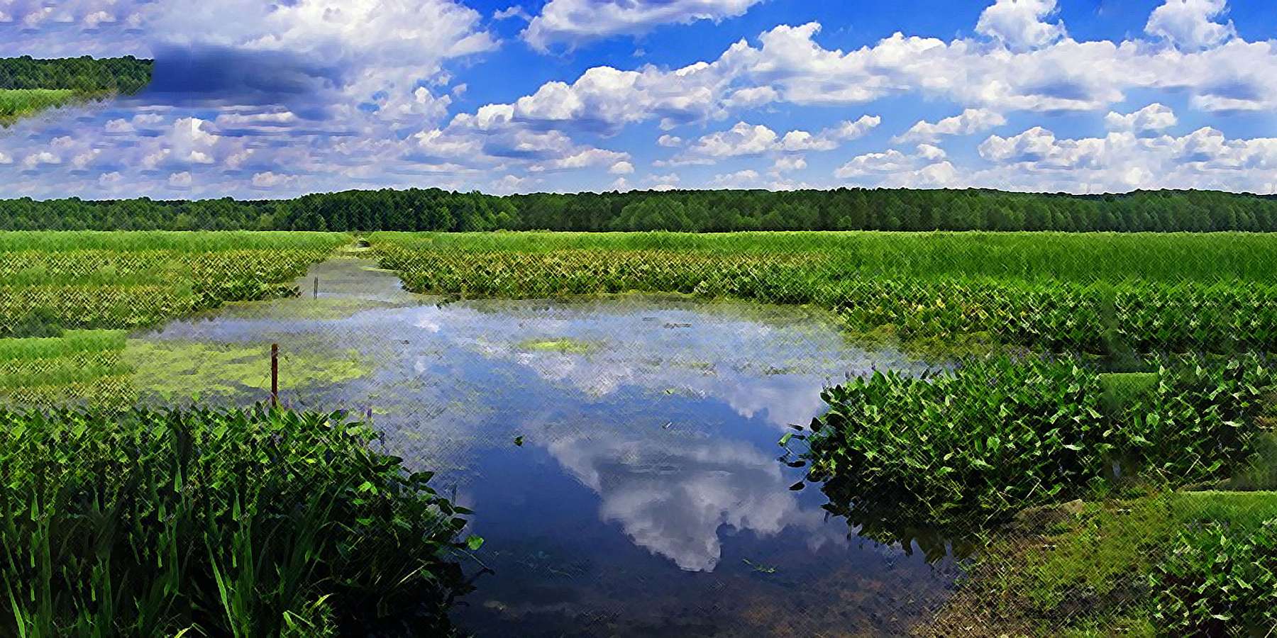 Photo of Union Township in Cochranton, Pennsylvania Photo of Union Township in Cochranton, Pennsylvania