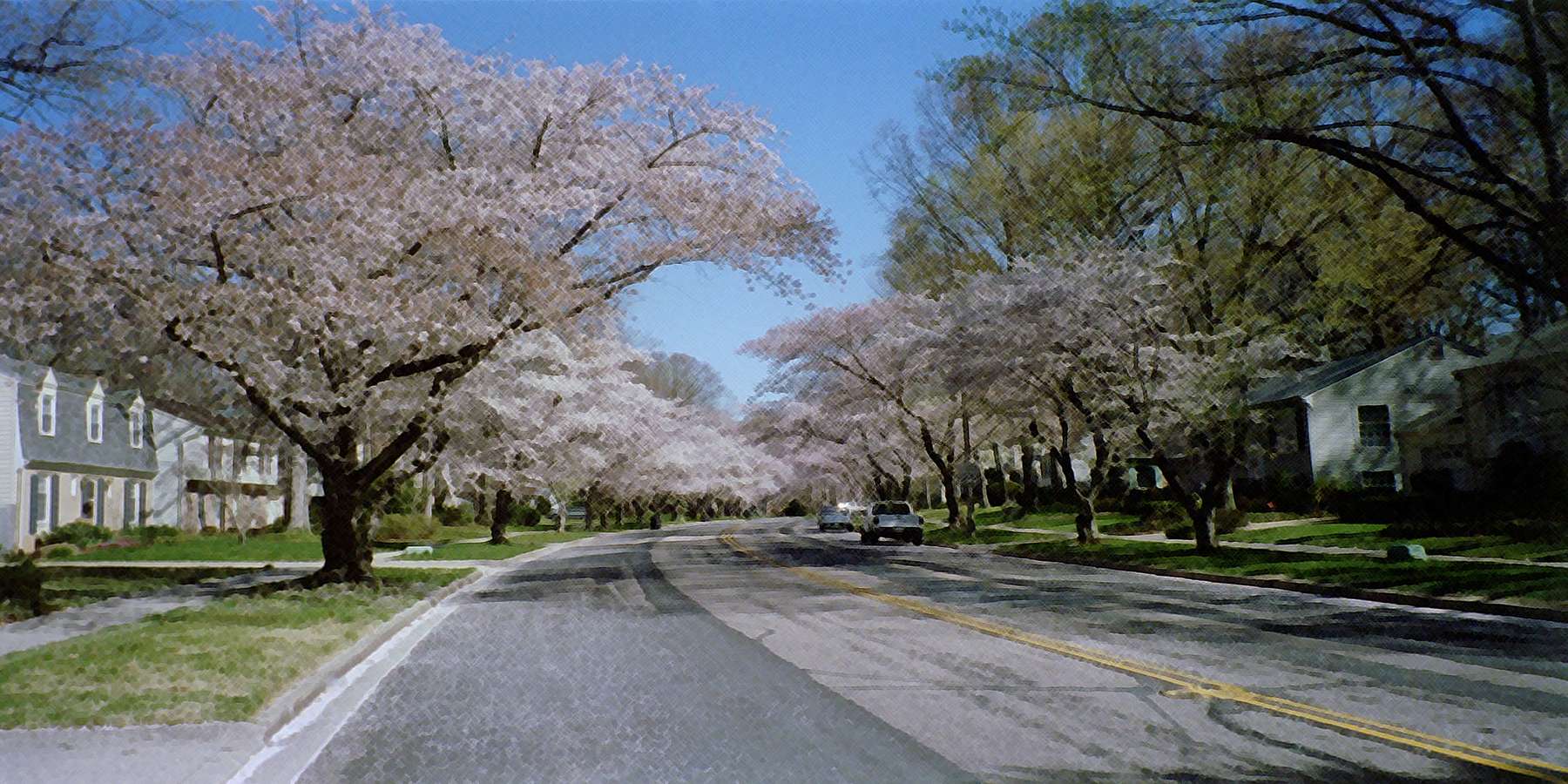 Photo of Parkway Road in Crofton, Maryland Photo of Parkway Road in Crofton, Maryland