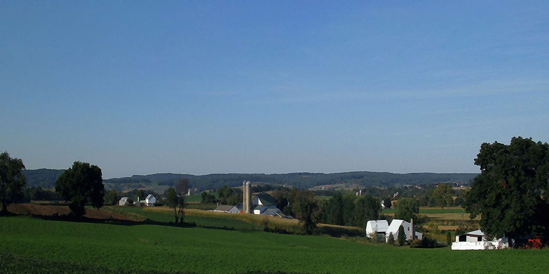 Photo of Bear Town in Bridgeville, Pennsylvania Photo of Bear Town in Bridgeville, Pennsylvania