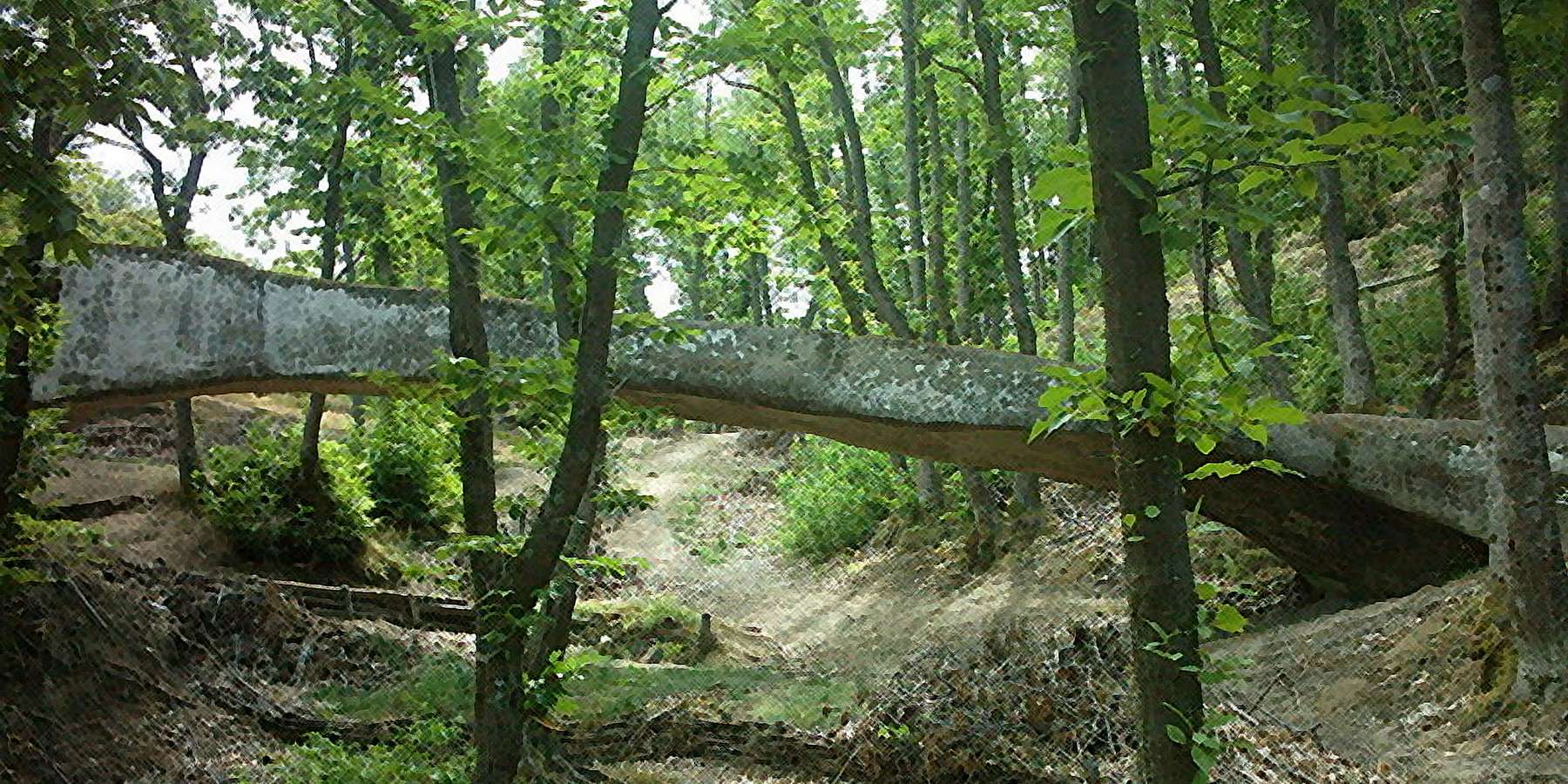 Photo of the Park in Peckville, Pennsylvania Photo of the Park in Peckville, Pennsylvania