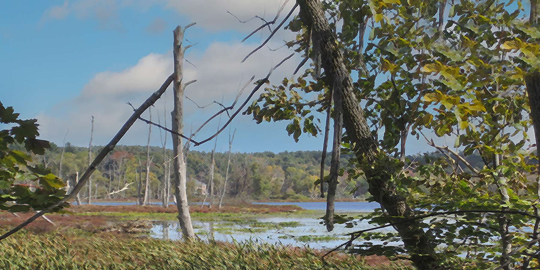 Photo of the Swampy Inlet in Ballston Lake, New York Photo of the Swampy Inlet in Ballston Lake, New York
