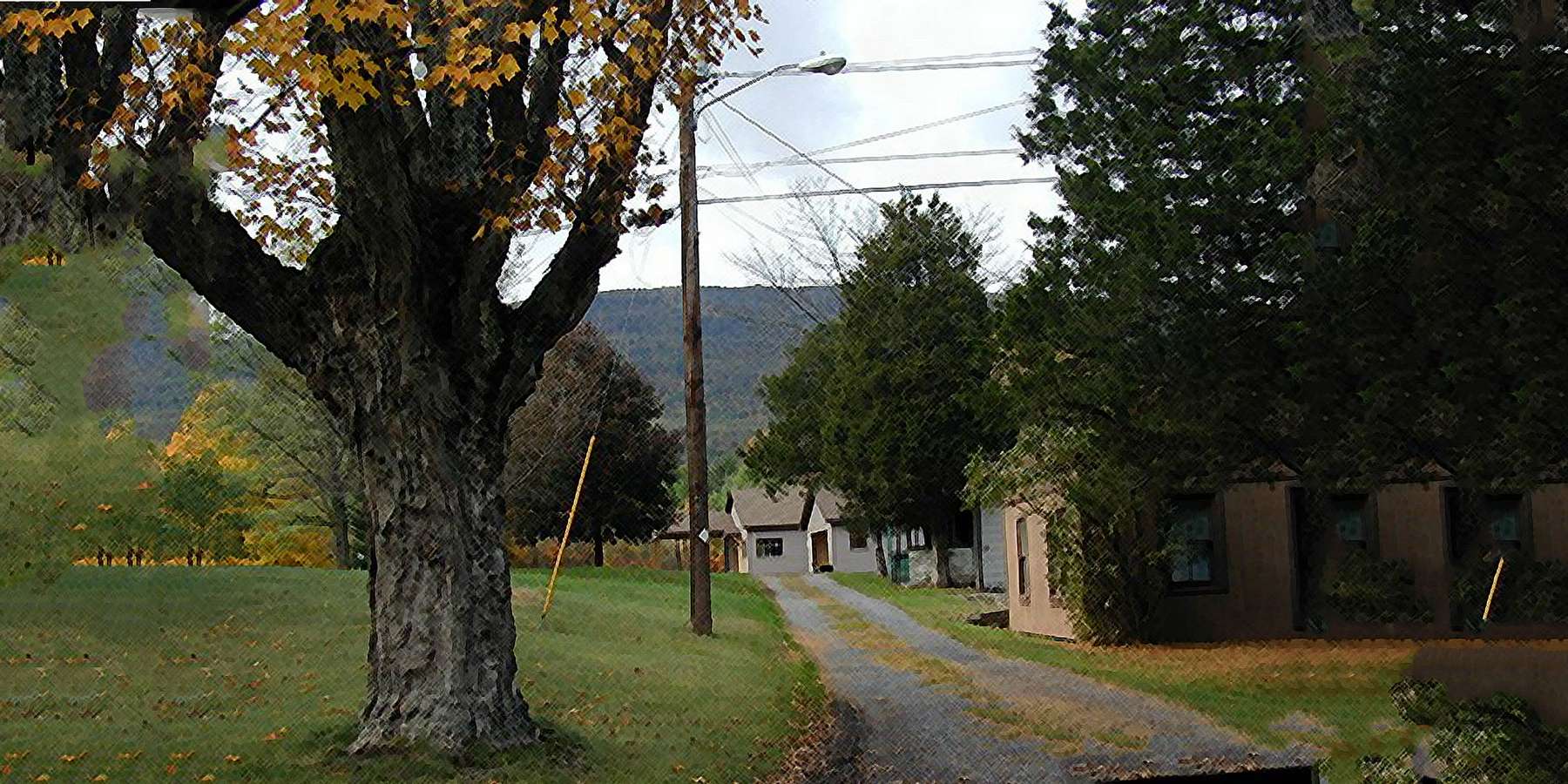 Photo of Pine Brook in Palenville, New York Photo of Pine Brook in Palenville, New York