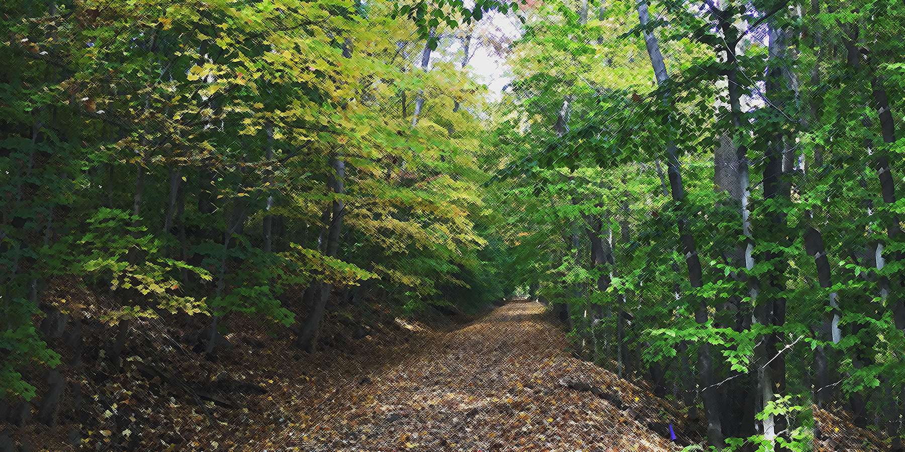 Photo of the Old Erie Path in Piermont, New York Photo of the Old Erie Path in Piermont, New York
