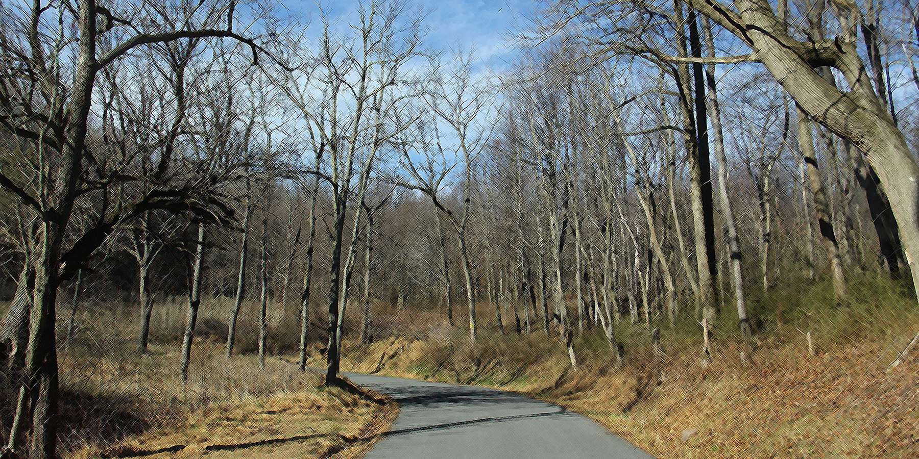 Photo of a road in Lilly, Pennsylvania Photo of a road in Lilly, Pennsylvania