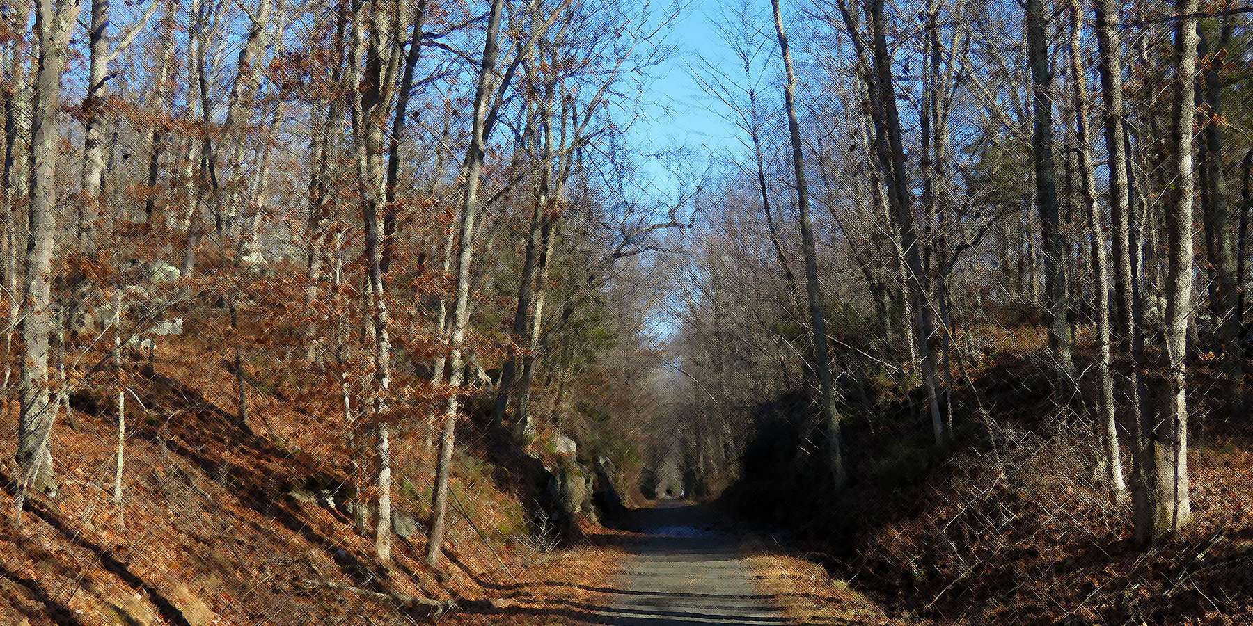 Photo of the Air Line Trail Cut in Amston, Connecticut Photo of the Air Line Trail Cut in Amston, Connecticut