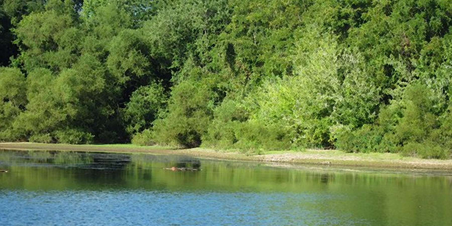 A Photo of Codorus State Park in Glenville, Pennsylvania A Photo of Codorus State Park in Glenville, Pennsylvania