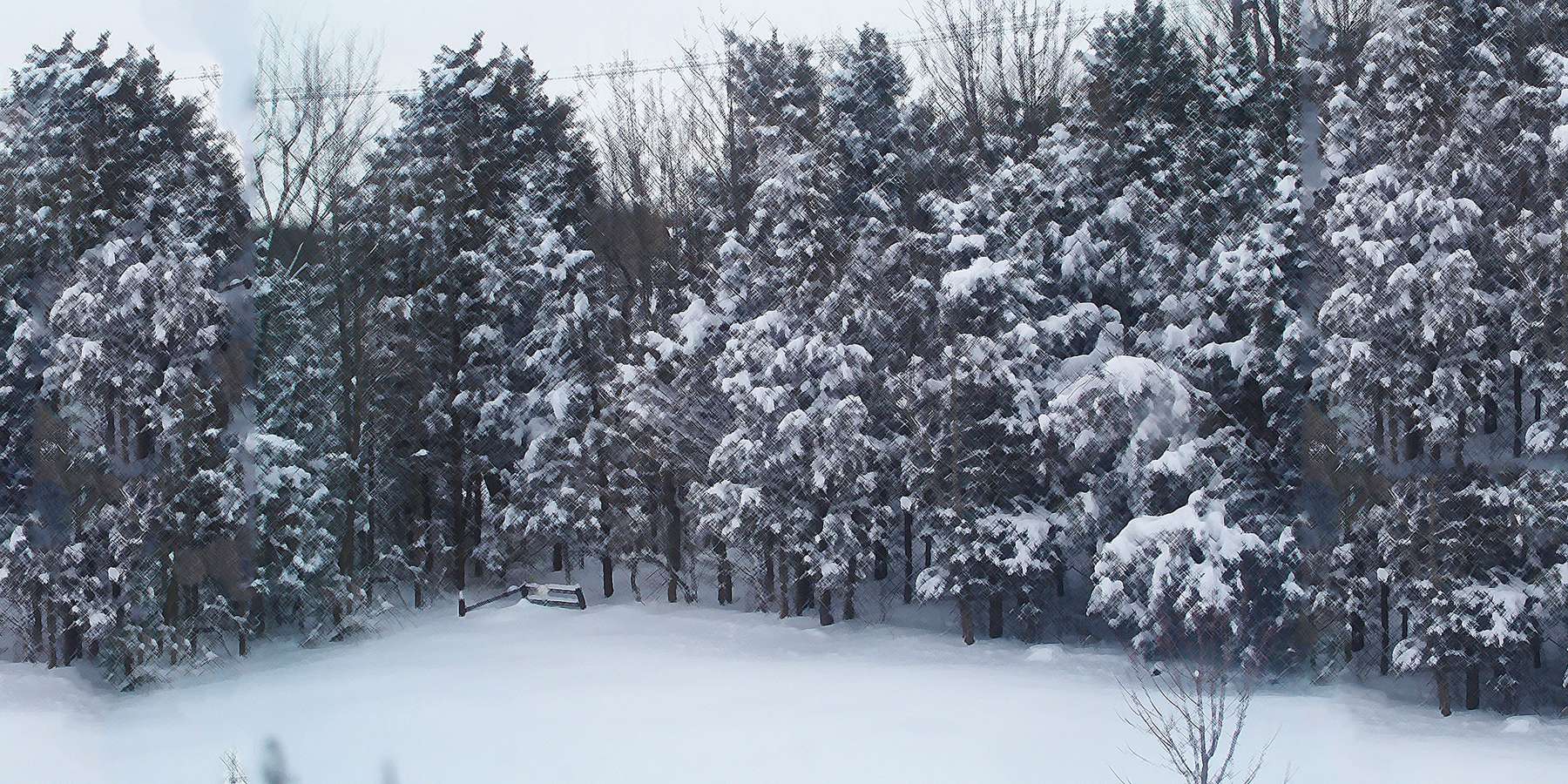 Photo of winter in Perkiomenville, Pennsylvania Photo of winter in Perkiomenville, Pennsylvania