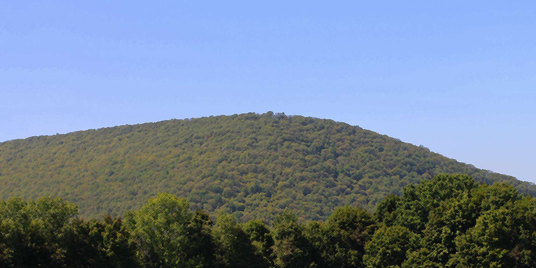 View of a Ridge Near Coal Township, Pennsylvania View of a Ridge Near Coal Township, Pennsylvania