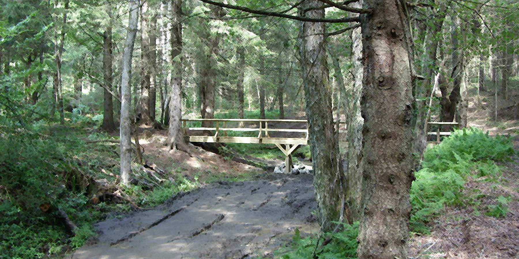 A photo of a bridge located in Charlotteville, New York A photo of a bridge located in Charlotteville, New York
