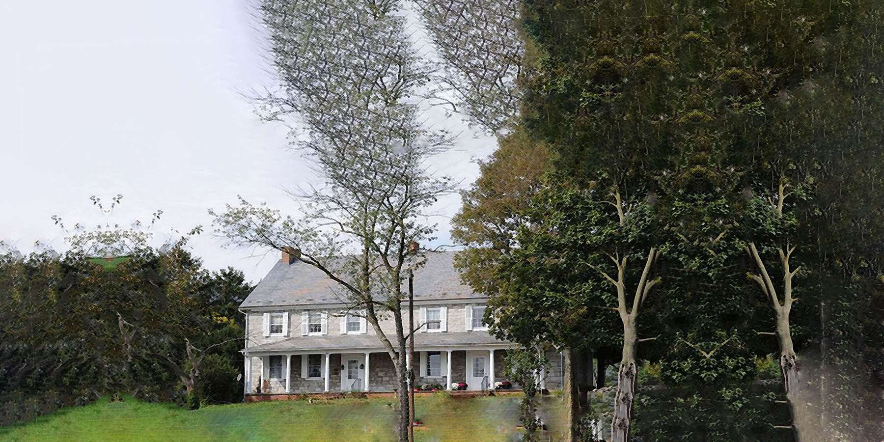 Photo of Woodland in Franklin, Maine Photo of Woodland in Franklin, Maine