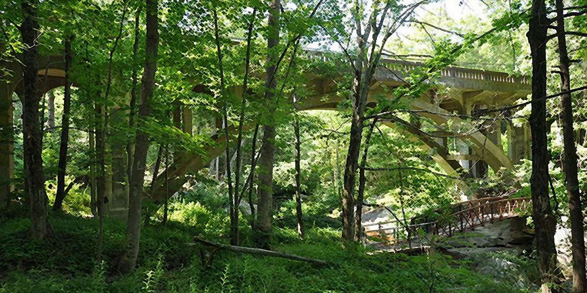 Today's Heating Oil Prices in Killingworth, CT