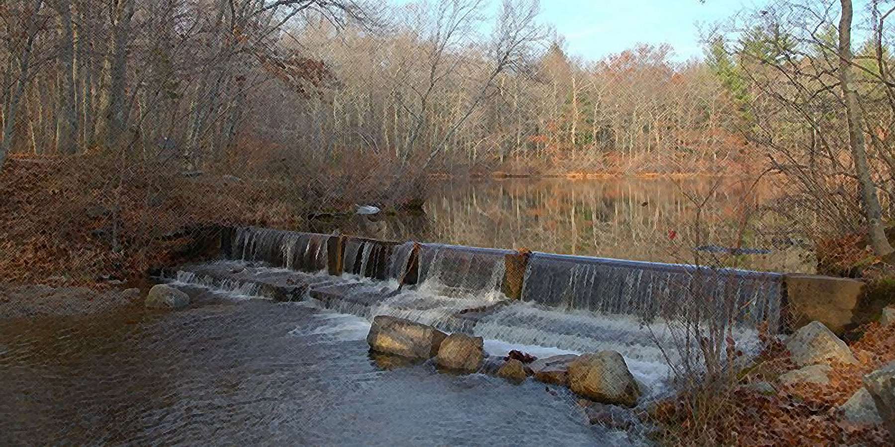 Photo of Borderland State Park Stream in Easton, Massachusetts Photo of Borderland State Park Stream in Easton, Massachusetts