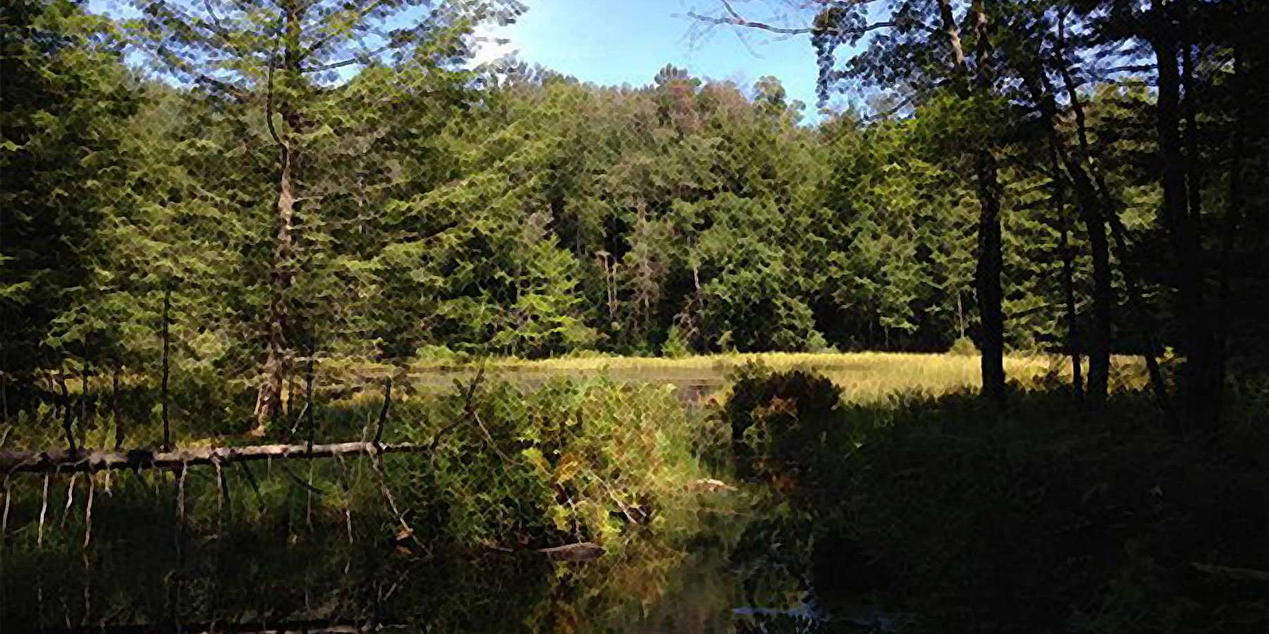 Photo of Spring Lake with lots of trees in Berlin, New York Photo of Spring Lake with lots of trees in Berlin, New York