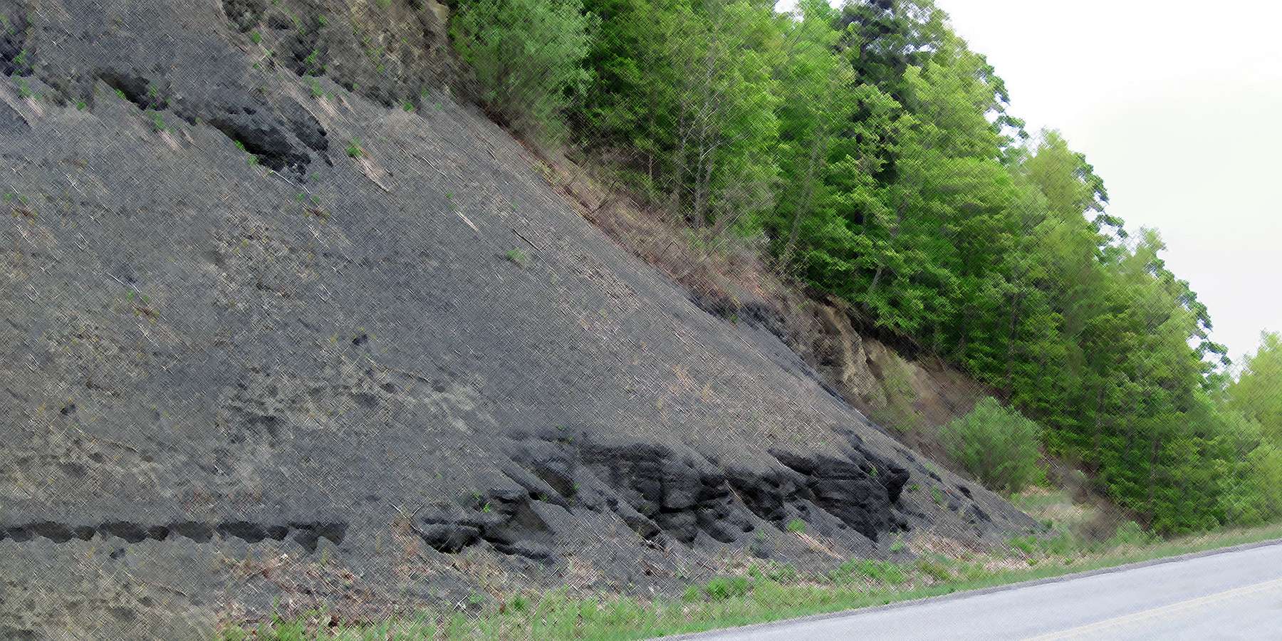 A photo of Solsville Middle Devonian Shales, New York A photo of Solsville Middle Devonian Shales, New York