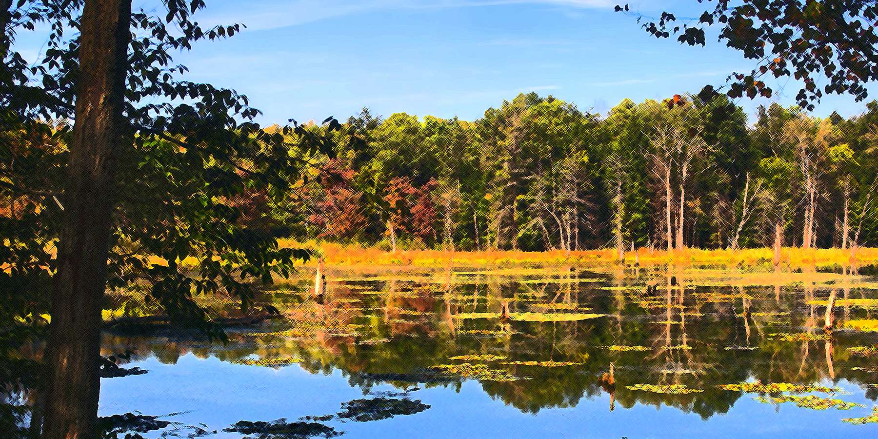 Photo of Woodbourne Forest in Dimock, Pennsylvania Photo of Woodbourne Forest in Dimock, Pennsylvania