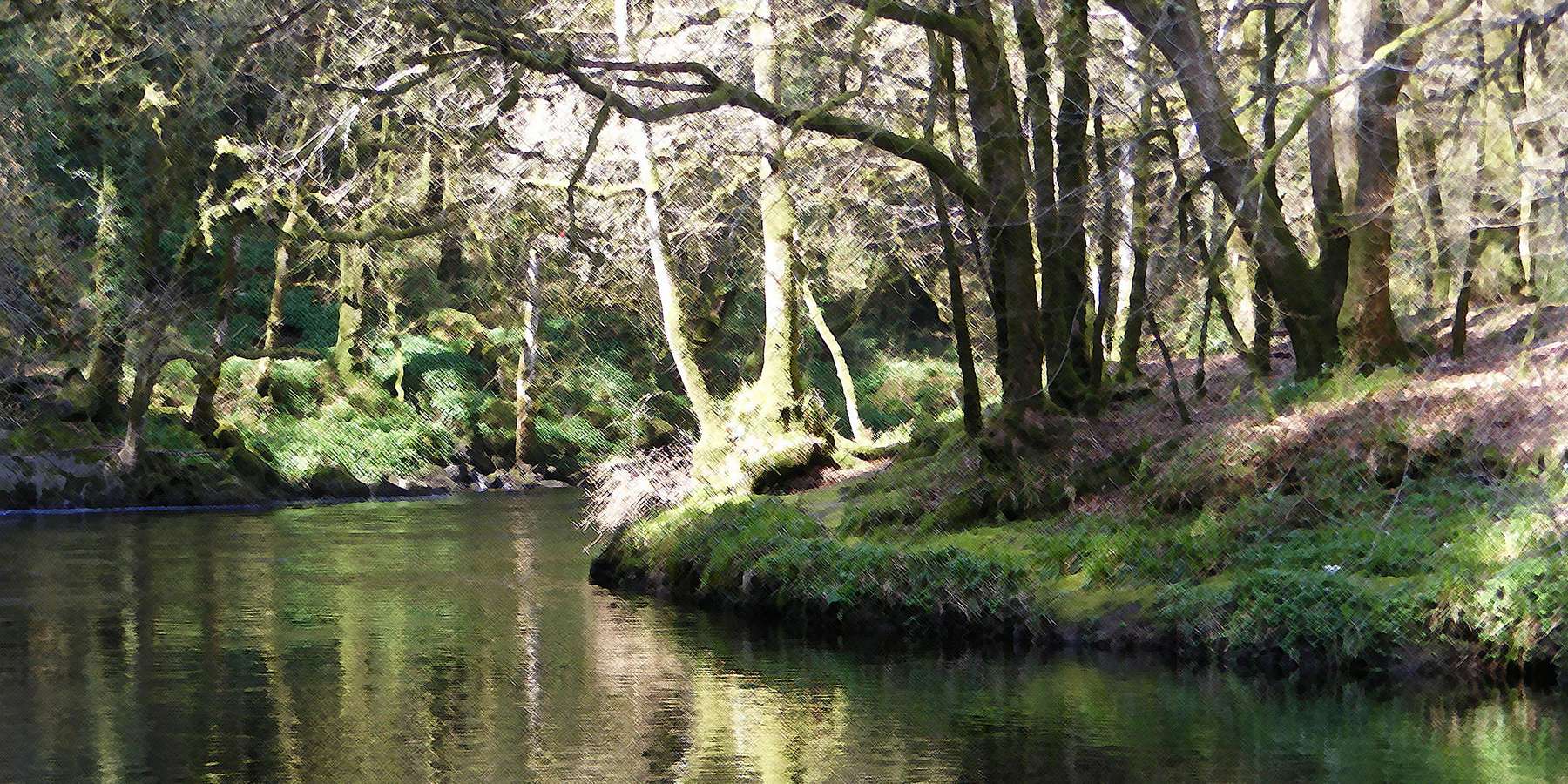 Photo of a river in Avonmore, Pennsylvania Photo of a river in Avonmore, Pennsylvania