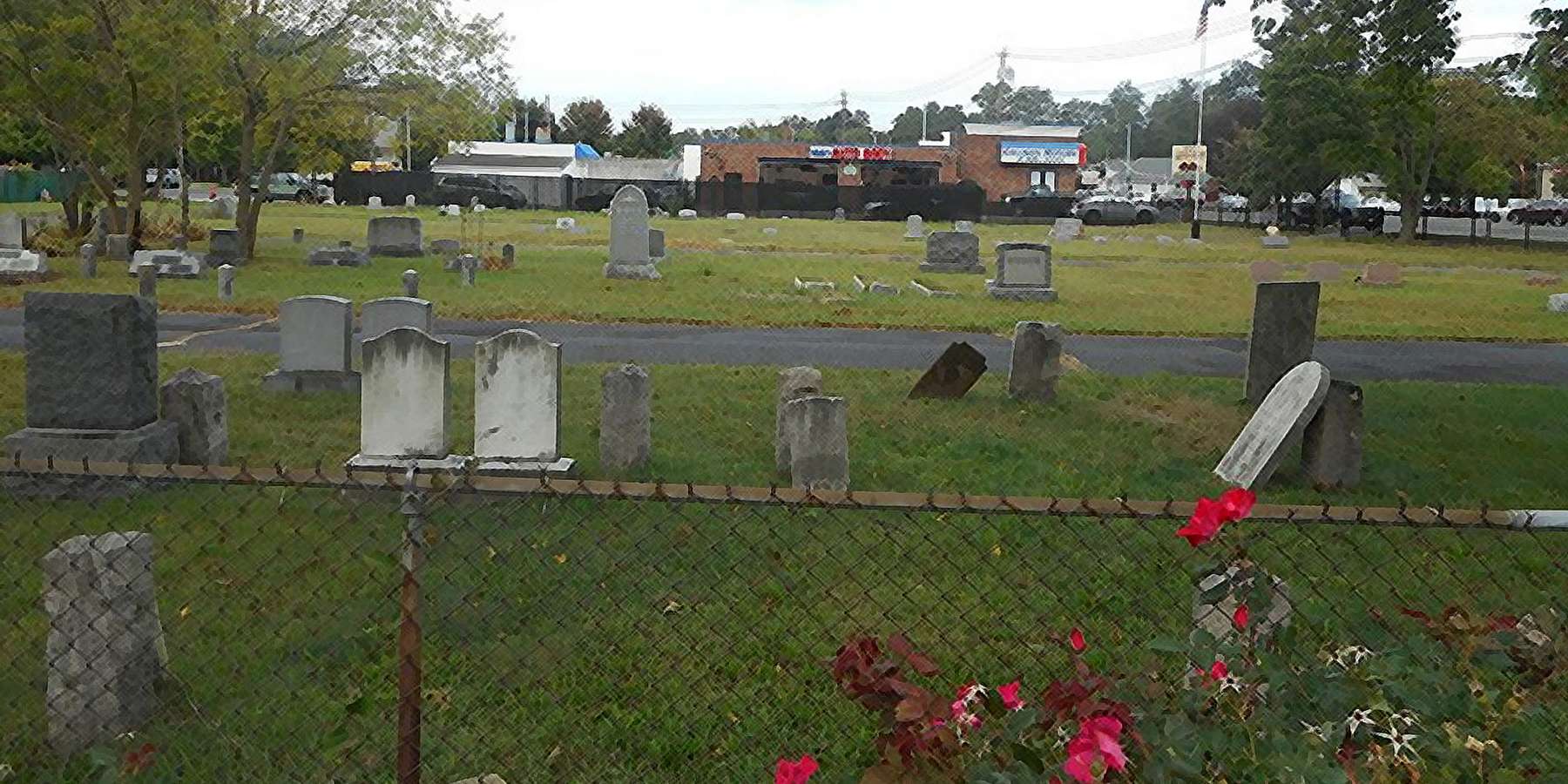Photo of Selden Cemetery in Selden, New York Photo of Selden Cemetery in Selden, New York