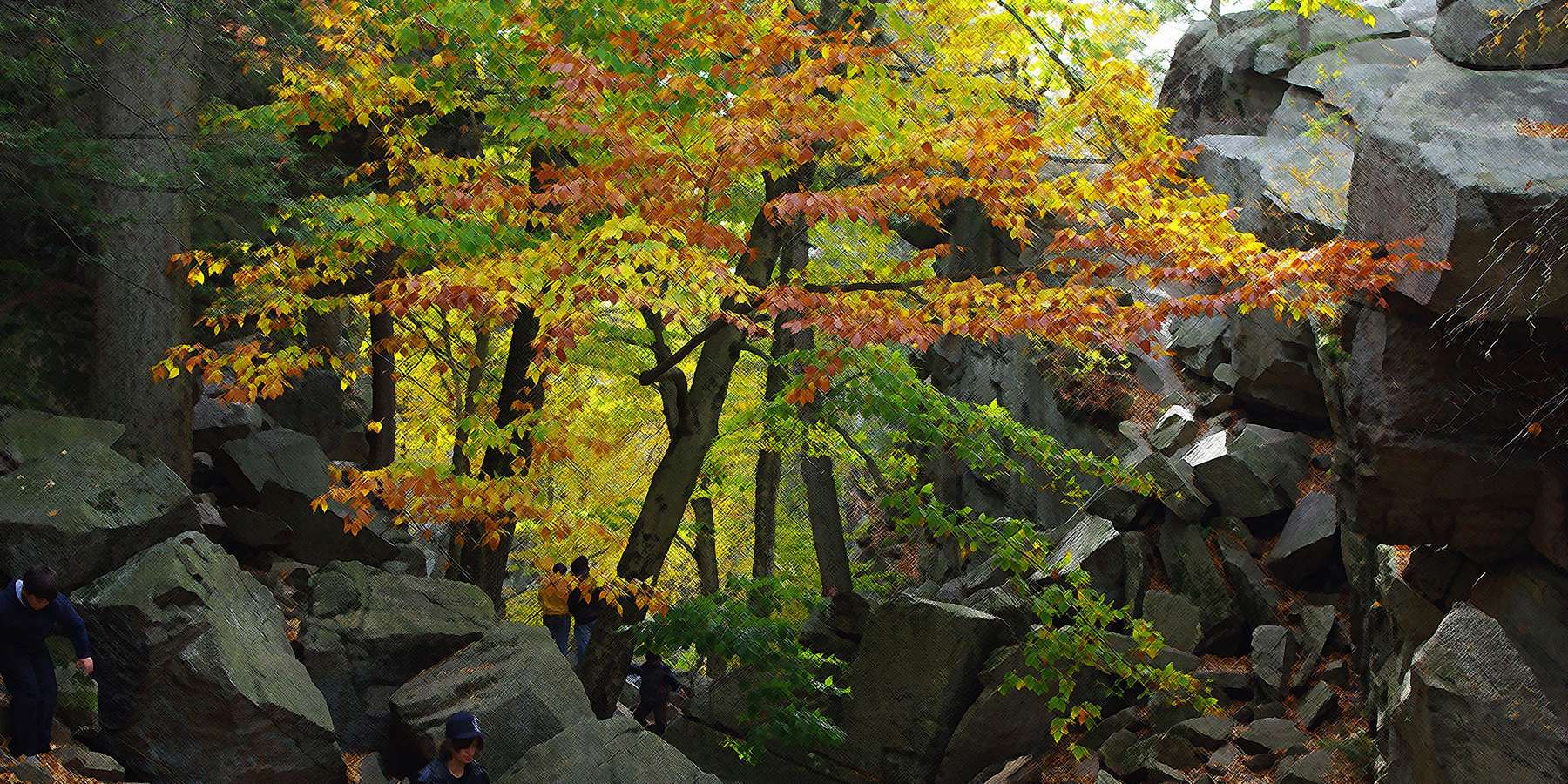 Photo of Purgatory Chasm in Sutton, Massachusetts Photo of Purgatory Chasm in Sutton, Massachusetts