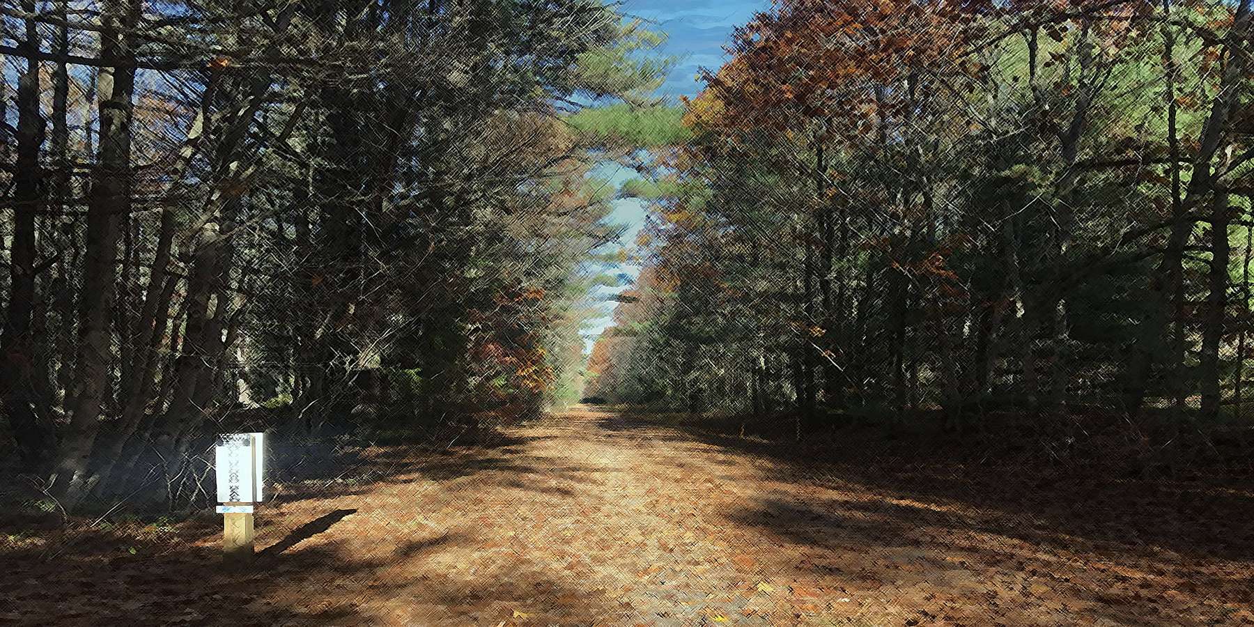 Photo of the Eastern Trail in Old Orchard Beach, Maine Photo of the Eastern Trail in Old Orchard Beach, Maine