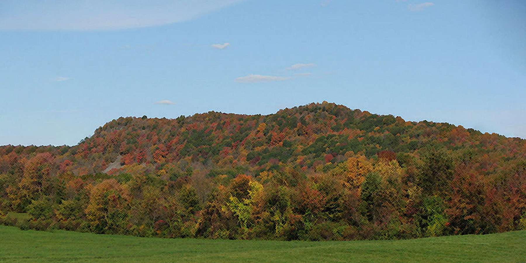 Photo of Trimountain Bush in Cobalt, Connecticut Photo of Trimountain Bush in Cobalt, Connecticut