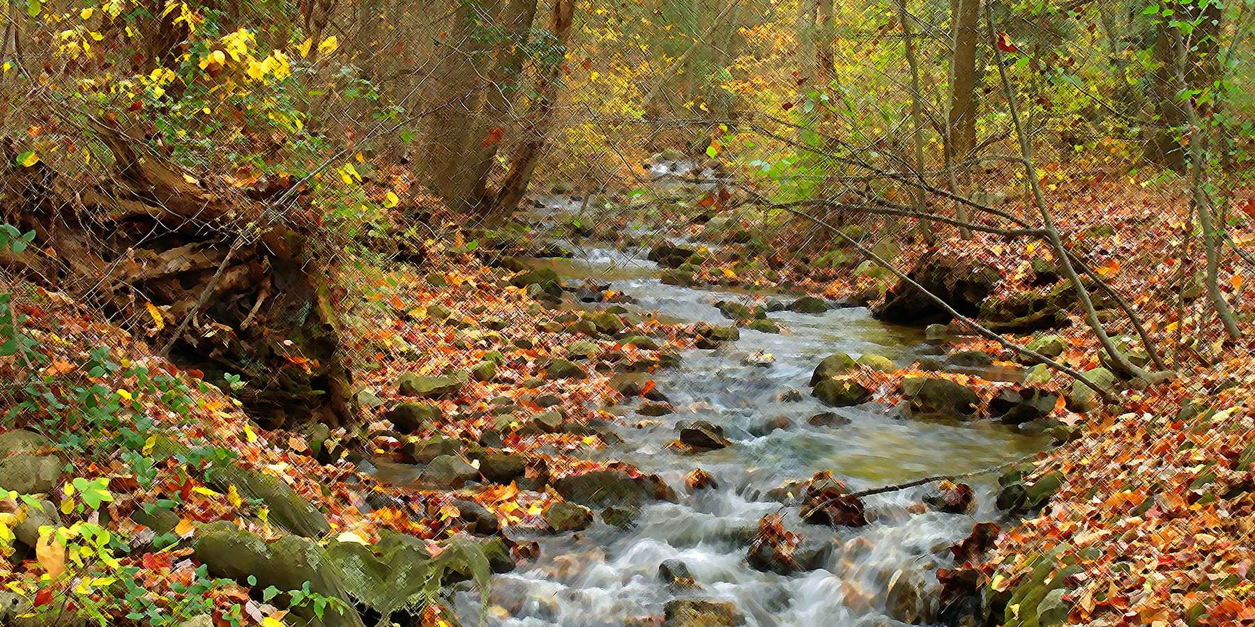 Photo of West Branch Antietam Creek in Mont Alto, Pennsylvania Photo of West Branch Antietam Creek in Mont Alto, Pennsylvania