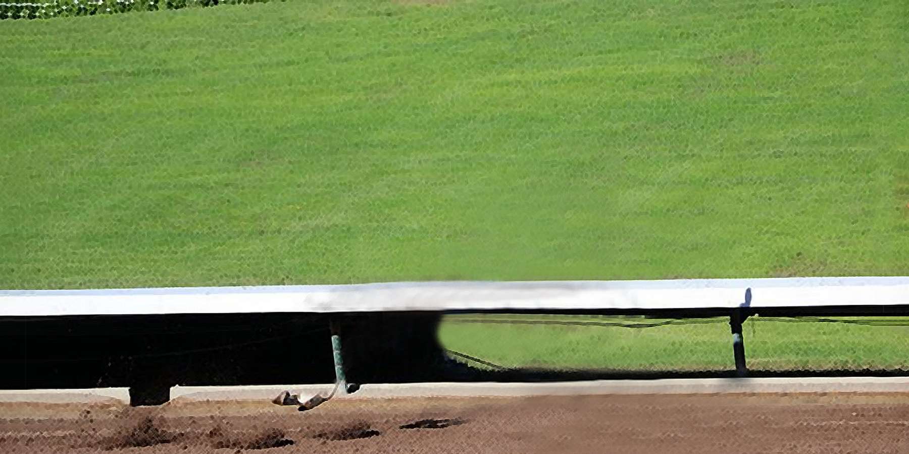 Photo of the Horse Track in Drayden, Maryland Photo of the Horse Track in Drayden, Maryland