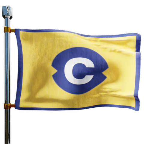 Capital Fuel Transportation Corp Heating Oil Prices Flag Photo of Capital Fuel Transportation Corp flag denoting best heating oil prices the company offers