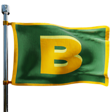 Bauman Oil Heating Oil Prices Flag Photo of Bauman Oil flag denoting best heating oil prices the company offers