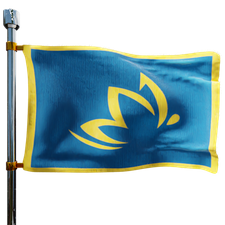 Chrysalis Fuel Inc Heating Oil Prices Flag Photo of Chrysalis Fuel Inc flag denoting best heating oil prices the company offers