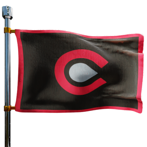 Cato Inc Heating Oil Prices Flag Photo of Cato Inc flag denoting best heating oil prices the company offers