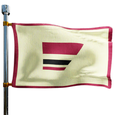 Lehigh Fuels Llc Heating Oil Prices Flag Photo of Lehigh Fuels Llc flag denoting best heating oil prices the company offers